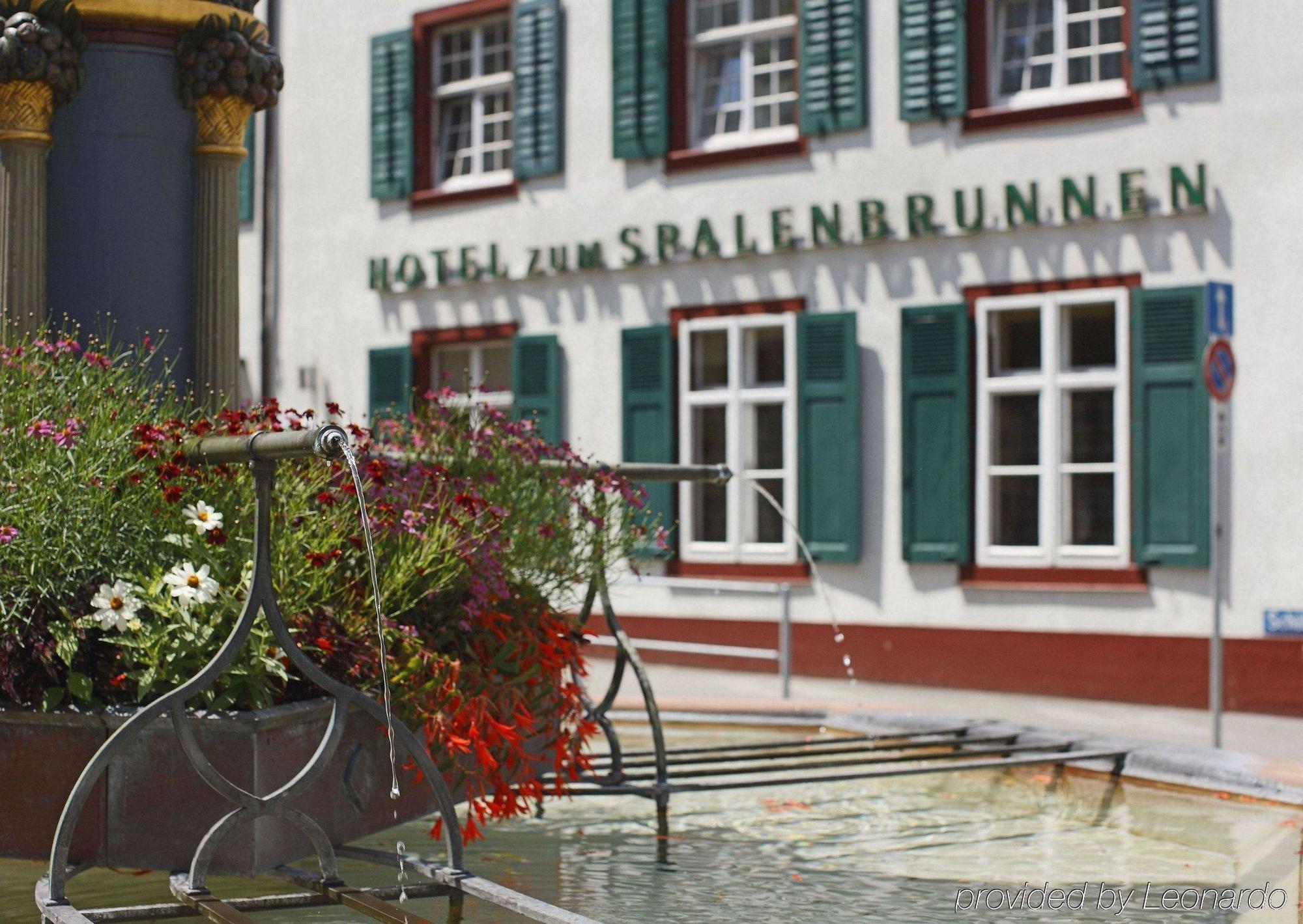 Spalenbrunnen & Restaurant Center Hotel Basilea